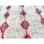 Moths In Wool Carpet