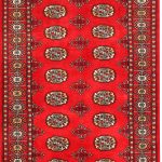Beige Colour Carpets