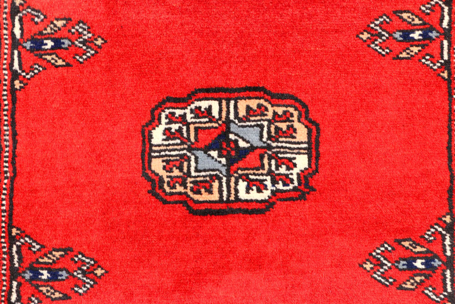 Carpet Rochester Mn