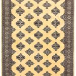 Moths In Wool Carpet