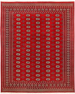 Bokhara Pakistan Ghiordes Rectangle Geometric Large Wool 7′ 11 x 9′ 9 / 241 x 297  – 78659360