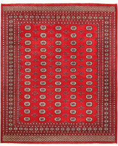 Bokhara Pakistan Ghiordes Rectangle Geometric Large Wool 8′ 2 x 9′ 9 / 249 x 297  – 78659378