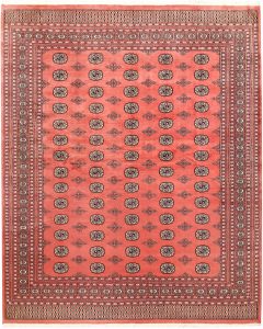 Bokhara Pakistan Ghiordes Rectangle Geometric Large Wool 8′ 2 x 10′ 1 / 249 x 307  – 78659426