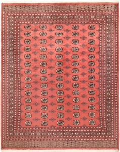 Bokhara Pakistan Ghiordes Rectangle Geometric Large Wool 8′ 2 x 10′ 3 / 249 x 313  – 78659432