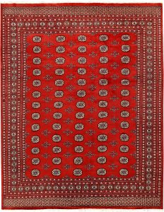 Bokhara Pakistan Ghiordes Rectangle Geometric Large Wool 8′ 2 x 10′ 10 / 249 x 330  – 78659493
