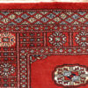 Carpet Width Sizes
