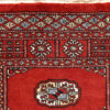 Carpet Width Sizes