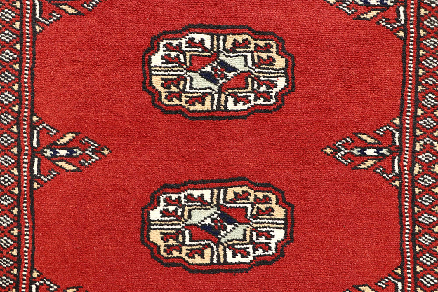 Carroll Carpet