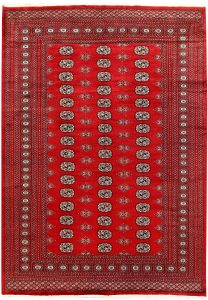 Bokhara Pakistan Ghiordes Rectangle Geometric Large Wool 6′ 3 x 8′ 10 / 191 x 269  – 78660067
