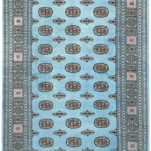 Marin Carpet