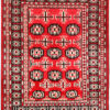 Carpet Bloomington