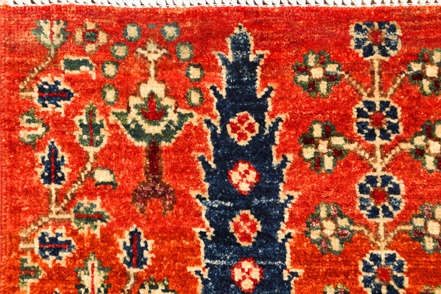Forest Hills Carpet
